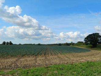 2. Slip Ponds Field