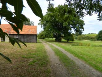 38. Steels Farm Barns